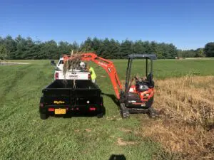 landscape company caseyville il