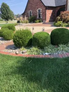 landscape company troy il