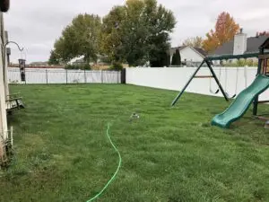 lawn fertilization collinsville il