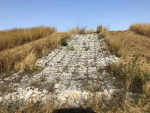 lawn care collinsville il