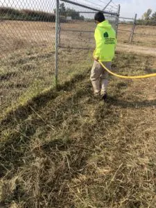 weed removal weeds removed collinsville il