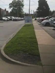 commercial landscaper collinsville il