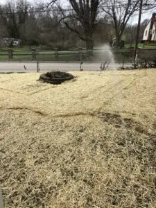 best landscaping company maryville il