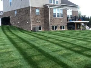 mowed yard st jacob il lawn care service