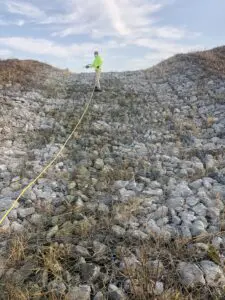 caseyville il lawn care