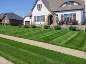 weekly lawn mowing grass cutting maryville il