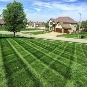 grass cutting collinsville il lawn care