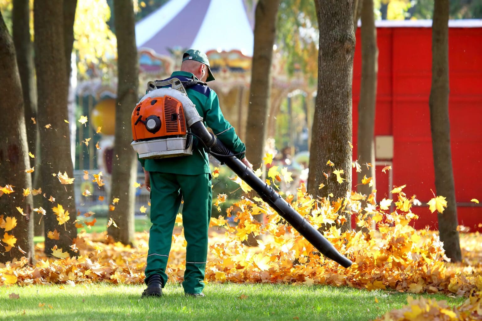 Yard Cleanup » Collinsville Lawn Care Leaf Removal, Spring Cleanup