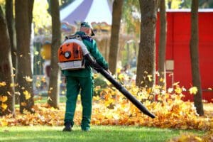 yard cleanup fall cleanup leaf removal collinsville il