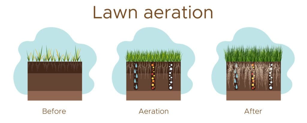 aeration service collinsville il maryville il glen carbon il edwardsville illinois pontoon beach il caseyville illinois troy illinois overseeding aeration lawn care professional company excellent quality best in illinois