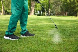 weed control weed elimination collinsville il lawn care troy illinois glen carbon edwardsville