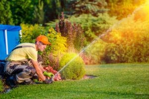 fertilization lawn fertilized residential landscaping residential lawn care collinsville illinois glen carbon edwardsville maryville lawn care company professional weed control lawn mowing grass cutting weed removal leaf removal spring cleanup pruning mulch service collinsville illinois